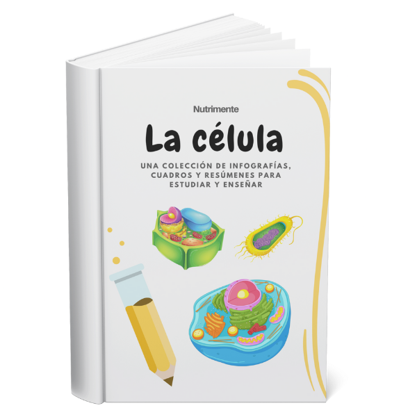 Producto - La Célula - Una colección de infografías, cuadros y resúmenes