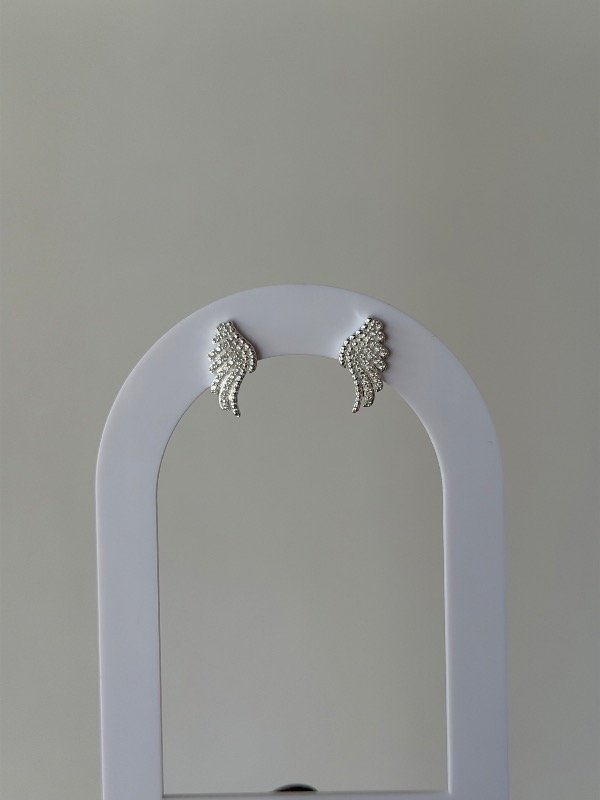 Producto - Aros alas