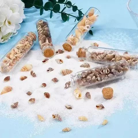 Producto - Set de 5 frascos con diferentes caracoles - 3