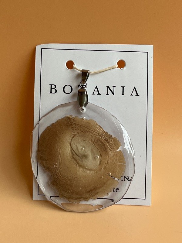 Producto - Dije semilla 1