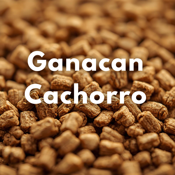 Producto - Ganacan Cachorro (Granel)
