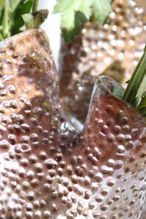 Miniatura de producto - 10