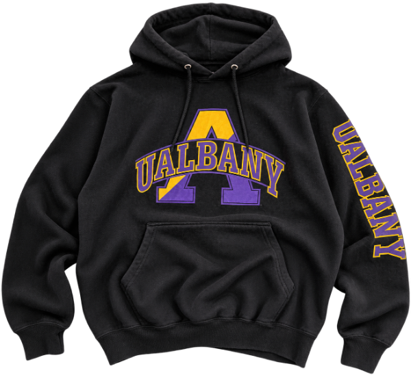 Producto - Hoodie Champion Ualbany (S/M)