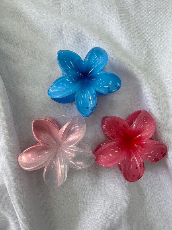 Producto - Broche haw