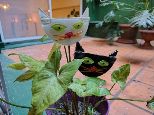 Producto - Tutor Gatitos - 4