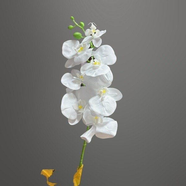 Producto - RAMO DE FLOR ORQUIDEA