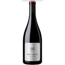 Producto - Cabernet Franc San Pablo