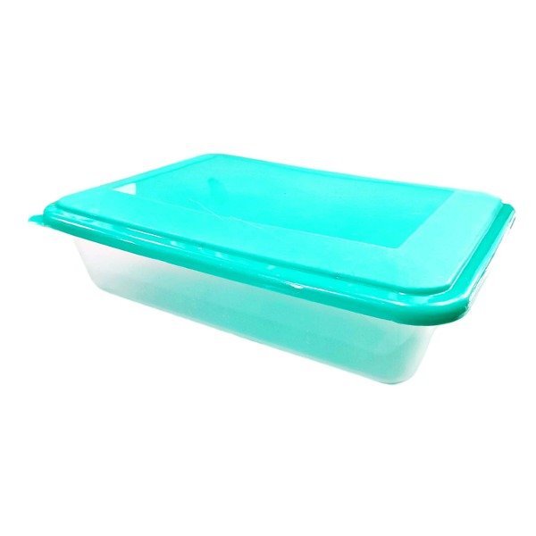 Producto - MIS PLAST CONTENEDOR RECTANGULAR 8LTS (0839)