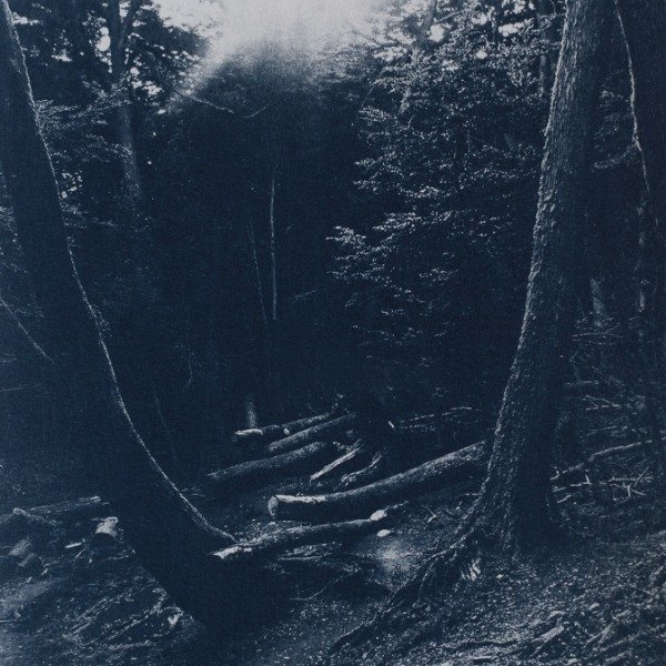 Producto - TALLER REGULAR de Cianotipia / Sábados