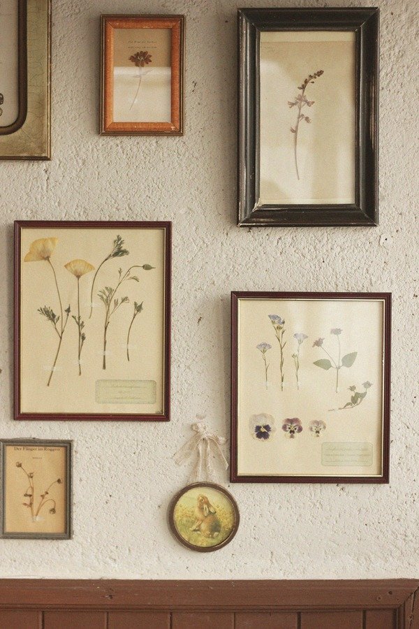 Producto - Cuadros Herbarios "Evergreen"