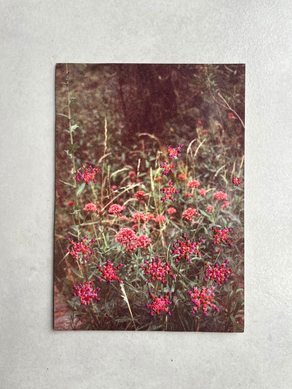 Producto - FOTOBORDADO FLORES MENDOCINAS