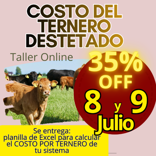 Producto - Taller Online: Costo del Ternero