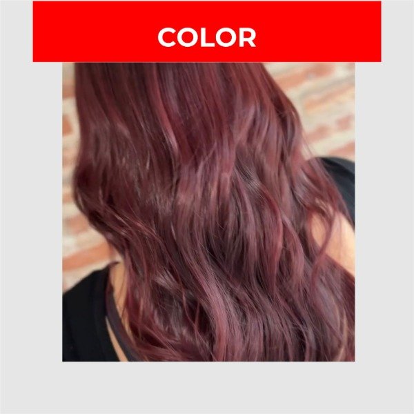 Producto - SEÑA // COLOR