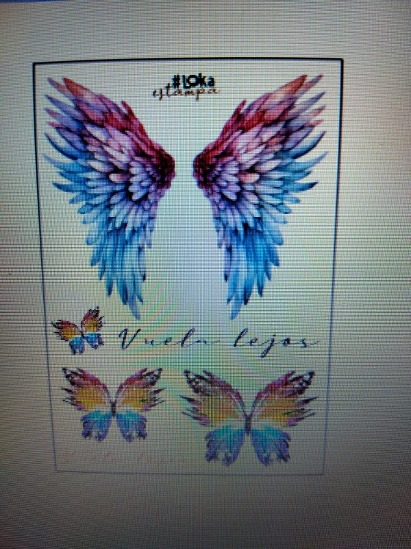 Producto - Termotransferibles 20x29cm Aves #5