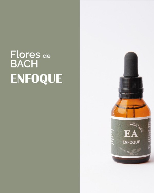 Producto - ENFOQUE