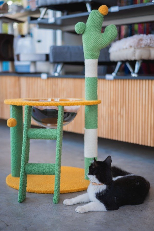 Producto - mueble rascador cactus