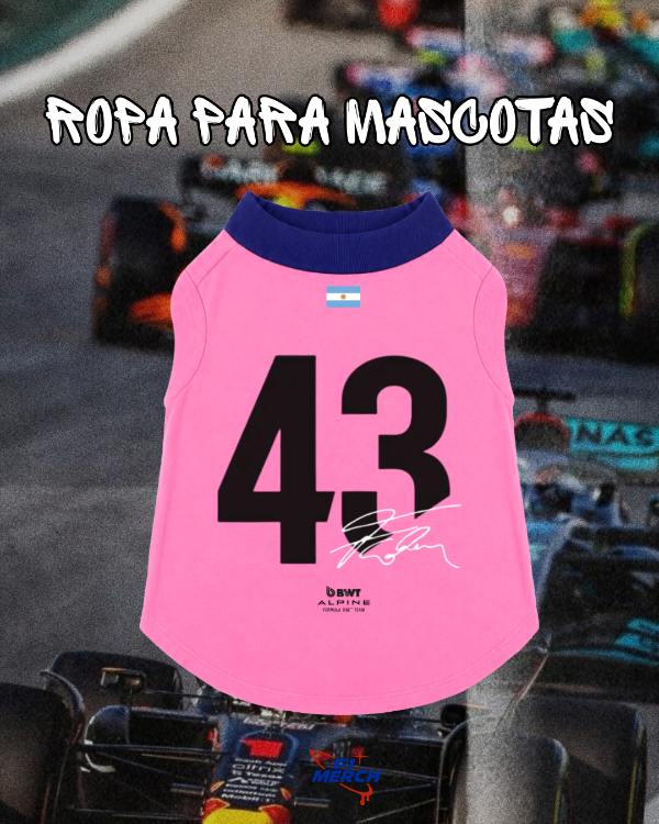 Producto - Chaleco Colapinto "43" (GRANDE)