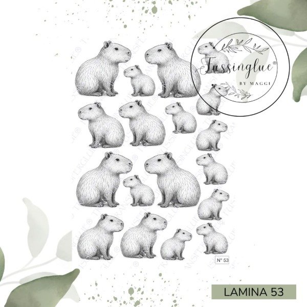 Producto - LAMINA FUSSINGLUE 53