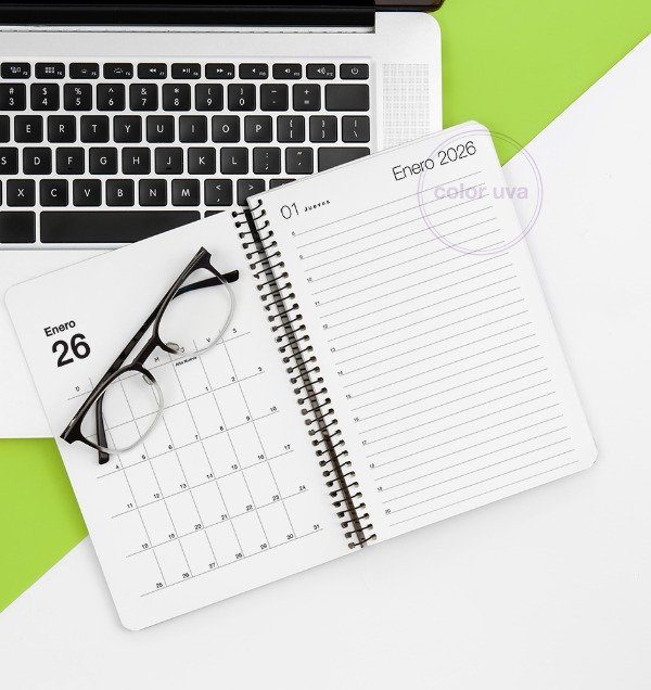 Producto - AGENDA 2026.PDF / Planner Mensual / 1 dia x hoja .PDF