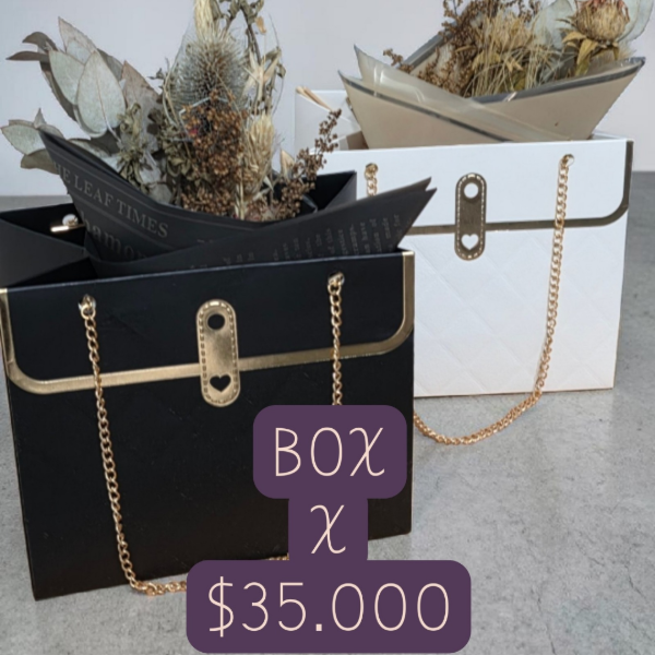 Producto - BOX Carterita