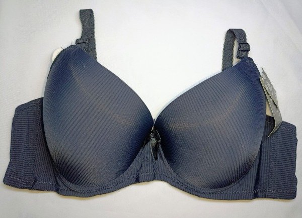 Producto - ART 085/Corpiño +100