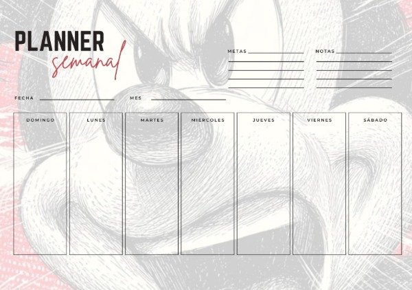 Producto - PLANNER SEMANAL PERSONALIZADO