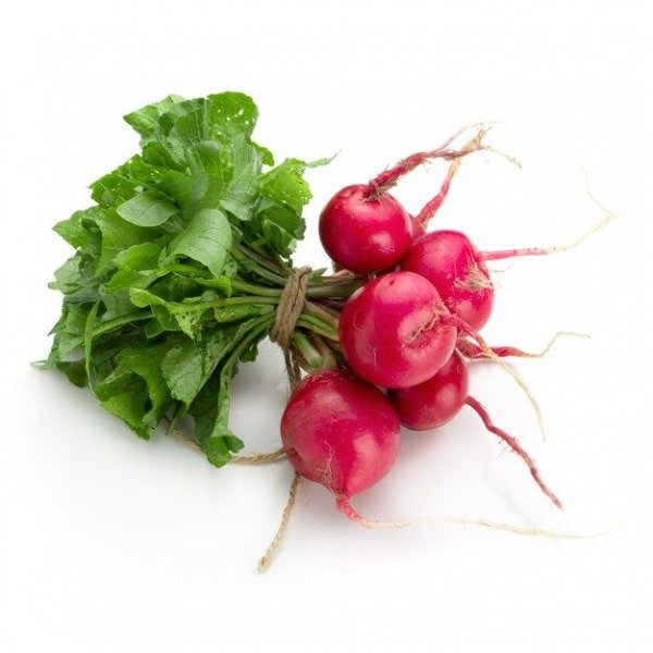 Producto - RABANITO