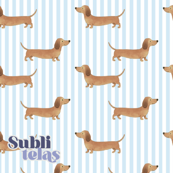 Producto - A360