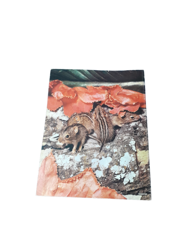 Miniatura de producto - 7