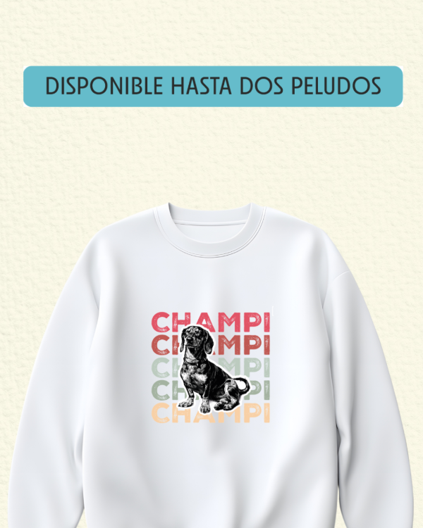 Producto - Pop Color - BUZO