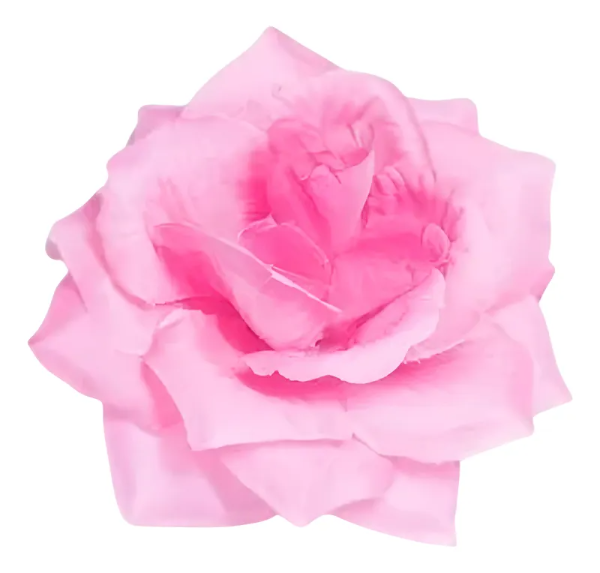Producto - Flor 10 Cm Con Pinza Rosa