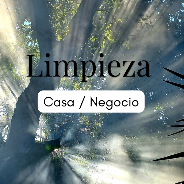 Producto - Limpieza Energetica Casa / Negocio