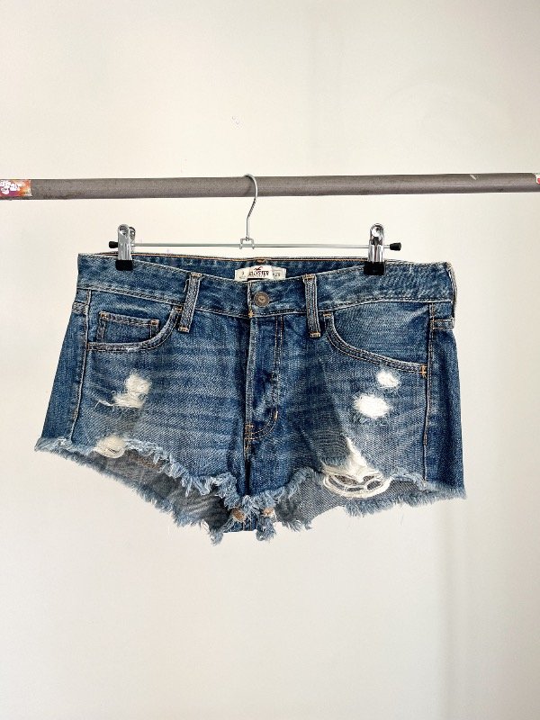 Short Hollister Wasted