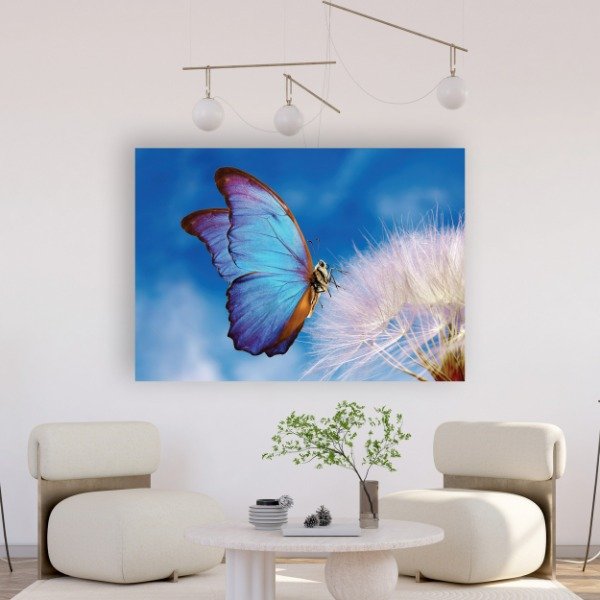 Producto - QR 204