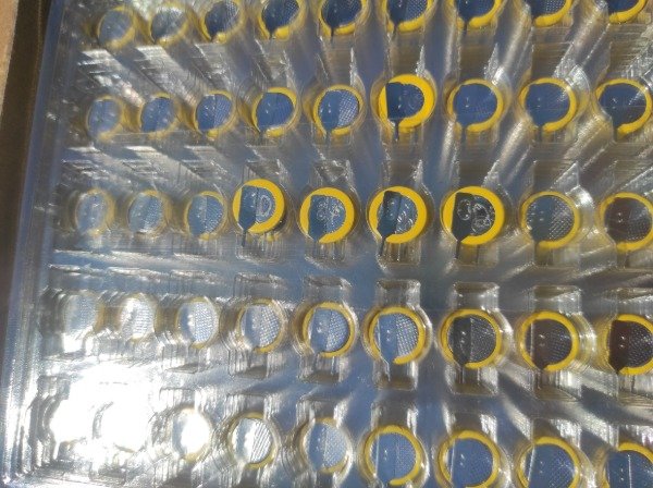 Producto - Pack x50 Pila CR1220 3V con Terminales para Soldar - 3