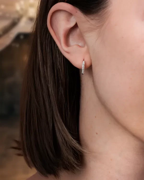 Producto - Aros Acero Reina Máxima - 1