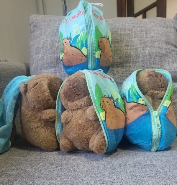 Producto - Peluche capibara con bolsita 18 cm