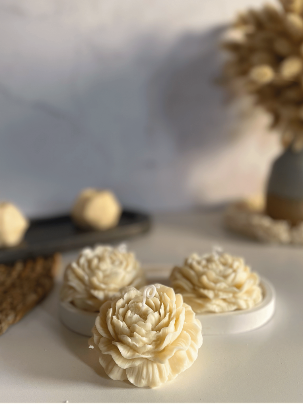 Producto - Vela Peónia