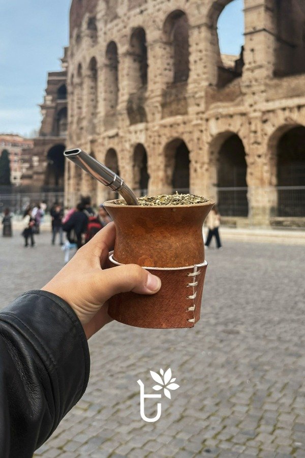 Producto - Camionero Criollo