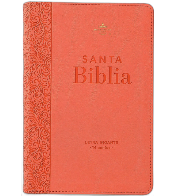 Producto - Biblia Reina Valera 1960 14 puntos 14x21cm