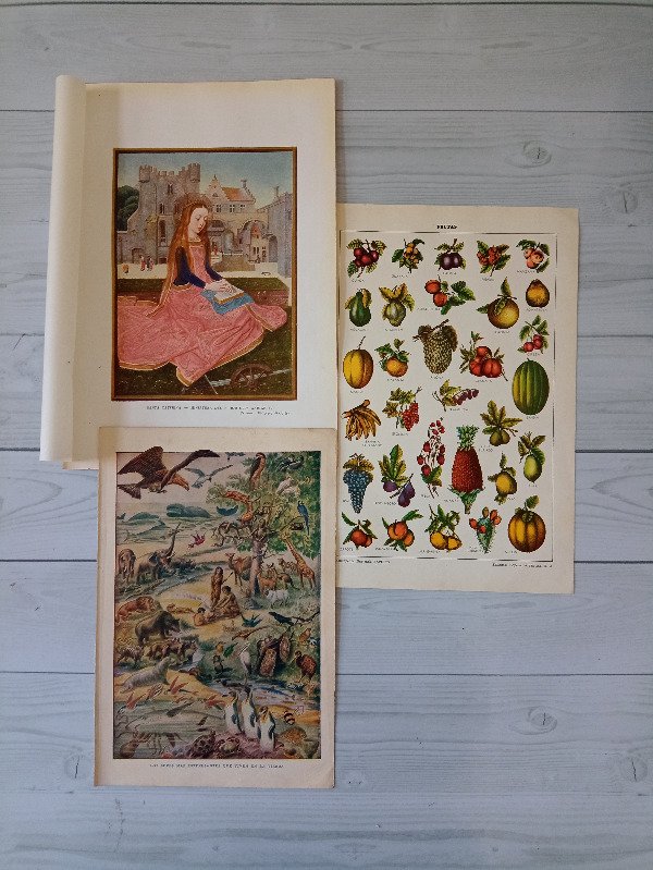 Miniatura de producto - 1