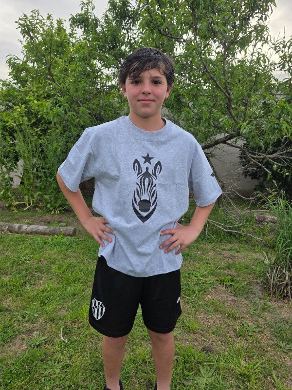 Producto - Remera algodon CEBRA gris