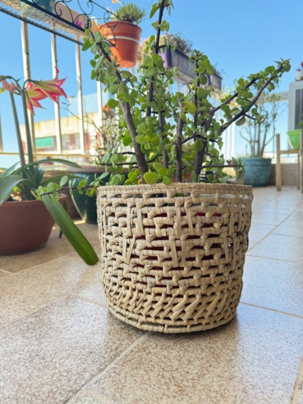 Producto - Fibras naturales