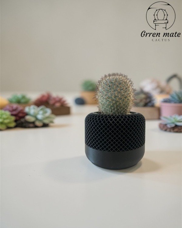 Producto - Gridito
