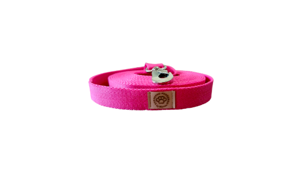 Producto - CORREA LISA