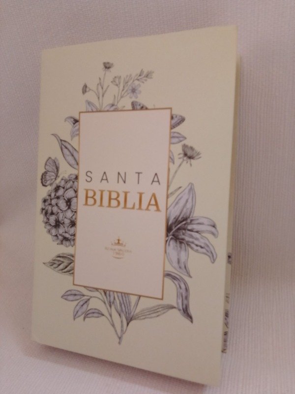 Producto - Biblia Reina Valera 1960 letra grande flexible verde agua