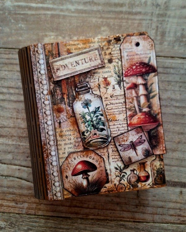 Producto - Caja libro botanica