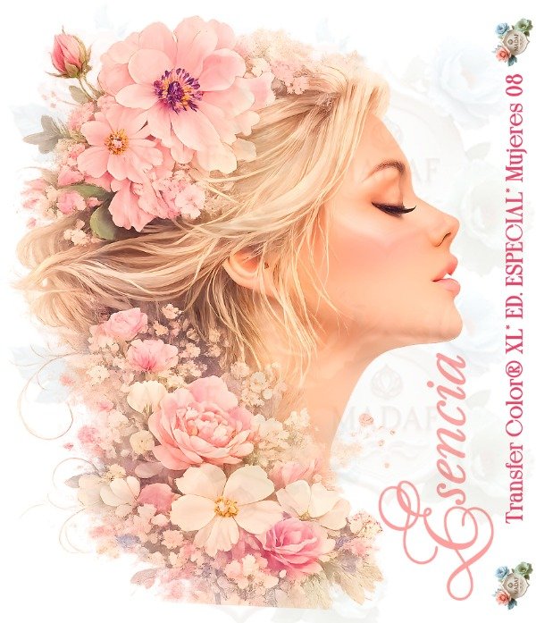 Producto - TRANSFER COLOR XL MUJERES 08