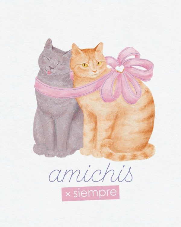 Producto - Lámina Amichis x siempre