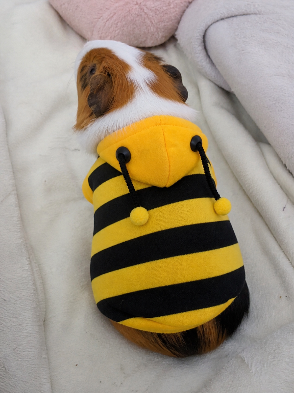 Producto - Ponchito abeja